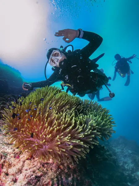 A diver over the coral