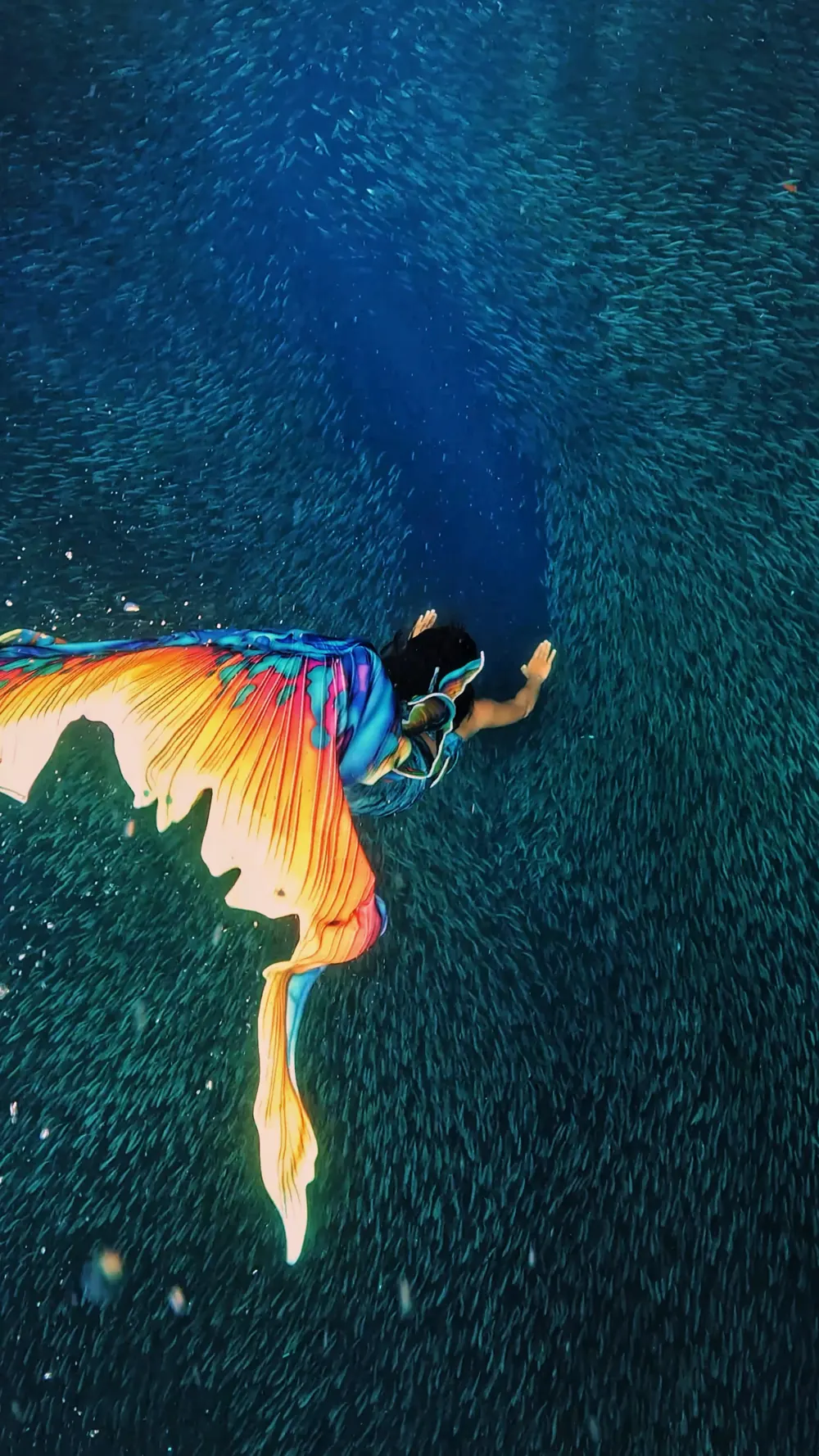 A mermaid with a rainbow tail beside the sardines